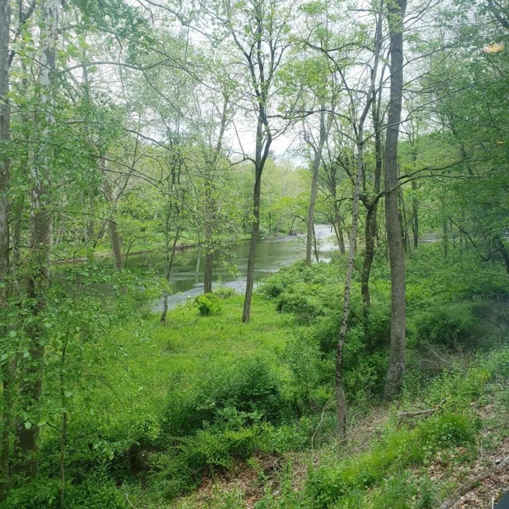 Meet your Posher, Gloriss